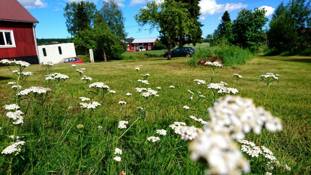 Ett Hus Med 3 Sovrum Med Supersnabba Internet Fiberanslutningen 1000Mb-100Mb I Hoeg, 7 Minuter Fran Худиксвалль Экстерьер фото